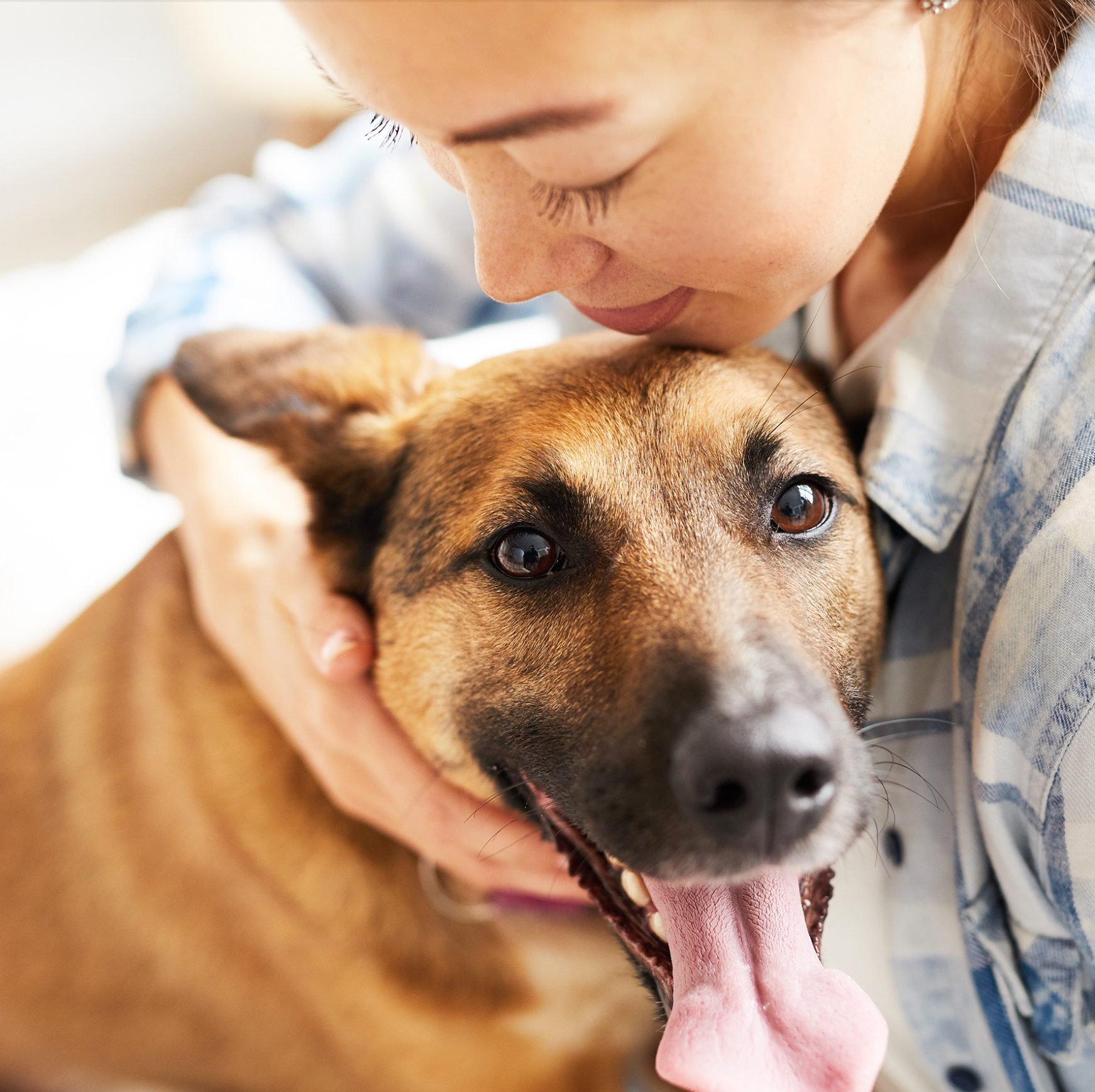 Raw Feeding Myths: What the Critics Get Wrong